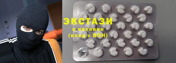 индика Аркадак