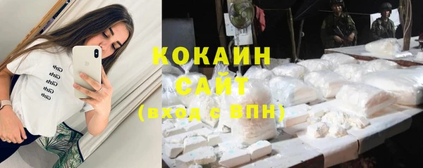 твердый Арсеньев