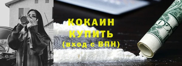 твердый Арсеньев