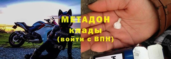 индика Аркадак