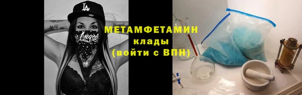 индика Аркадак