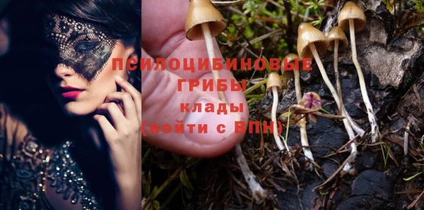 твердый Арсеньев