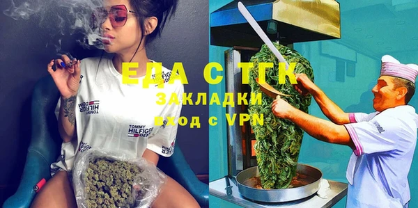 индика Аркадак
