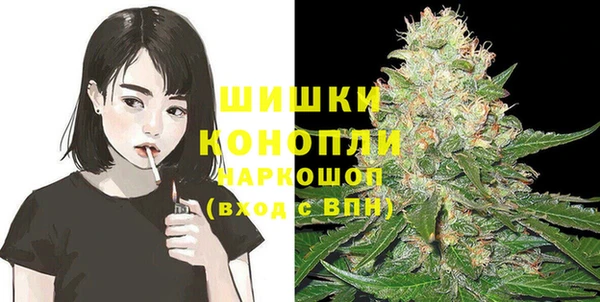 индика Аркадак