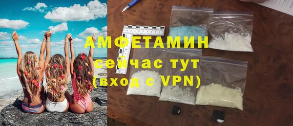 индика Аркадак