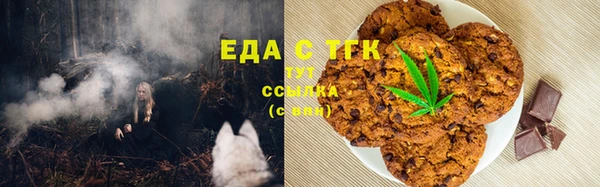 индика Аркадак