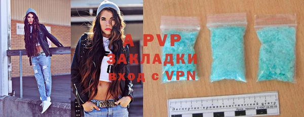 индика Аркадак