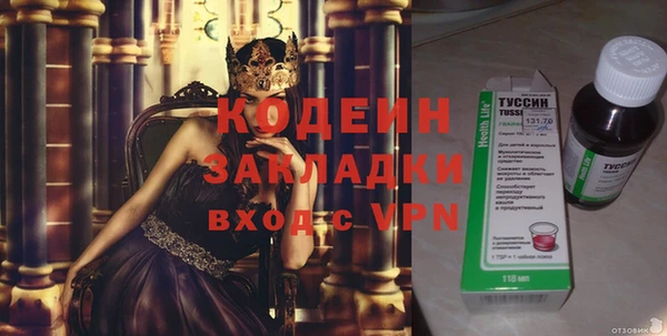 индика Аркадак