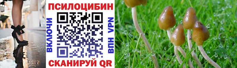 Псилоцибиновые грибы ЛСД Заречный