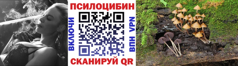 Псилоцибиновые грибы Magic Shrooms  магазин продажи   mega сайт  Заречный 